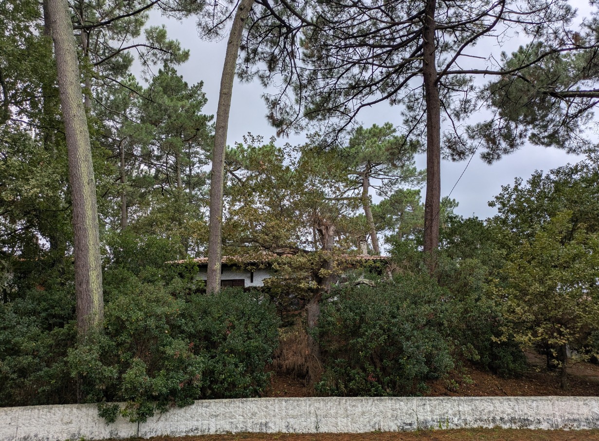 Photo d'une maison prise depuis le domaine public à Arcachon